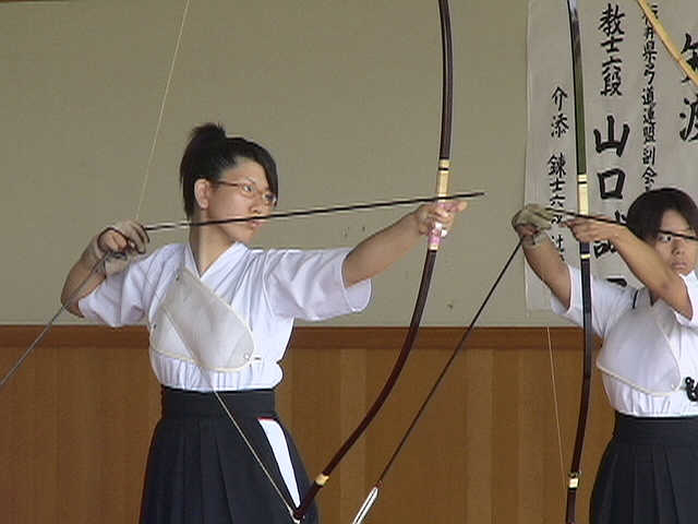 DSC00529.jpg