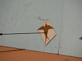P1010034s_thumb.png