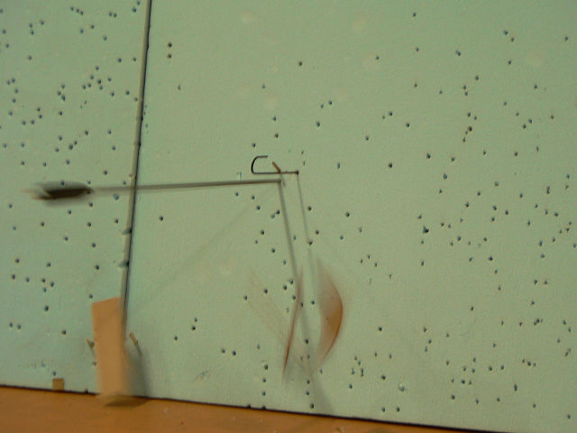P1010061s.jpg
