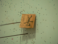 P1010064s_thumb.png