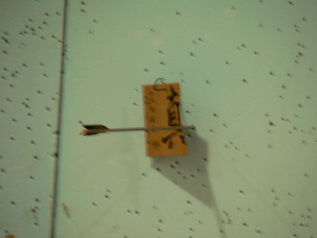 P1010067s.jpg